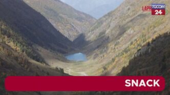 Un Eccezionale Tesoro Fossile