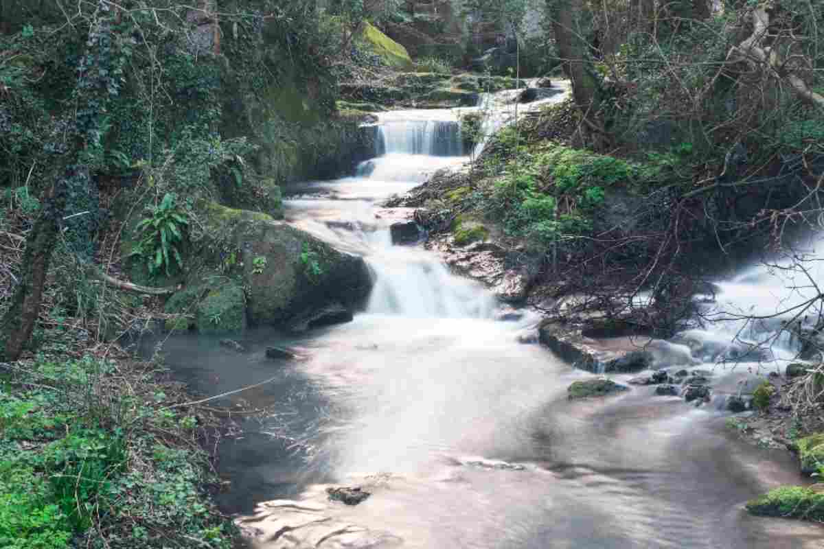 Ad Un Passo Da Roma Un'Esperienza Indimenticabile Immersi Nella Natura: Come Evadere Dal Caos Spendendo Pochissimo 5 Valle Del Treja, Vicino Roma