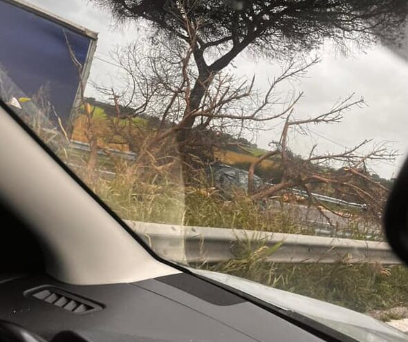 Venti Di Burrasca A Roma3A Cadu
