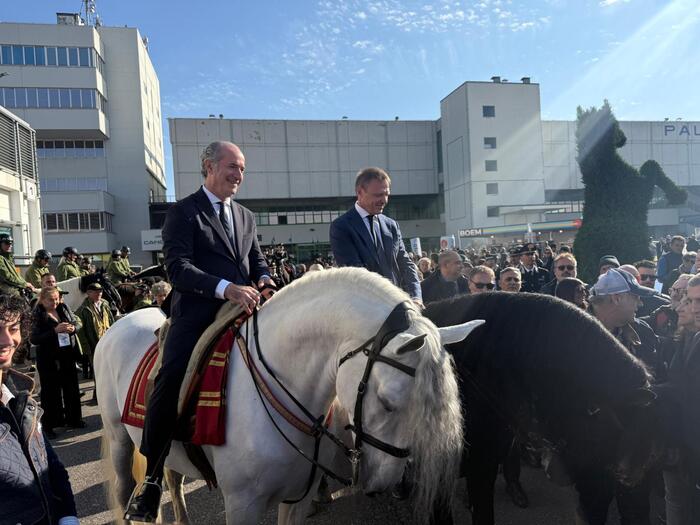 Veronafiere Presenta Fieracava