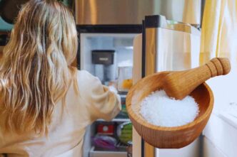 Perchè Mettere Il Sale In Frigo