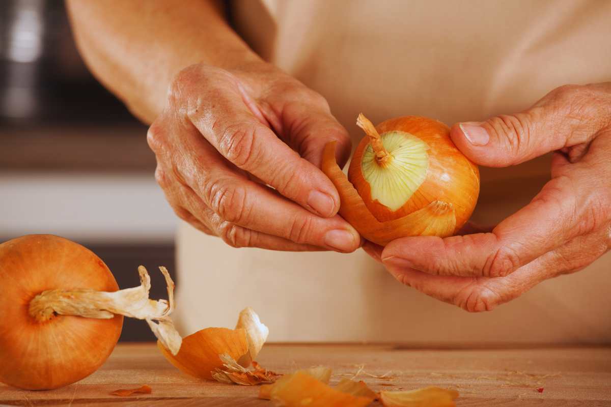 Non Buttare Mai Le Bucce Della Cipolla! Io Ho Risolto Un Sacco Di Problemi In Casa A Costo Zero 5 Bucce Di Cipolla Come Fertilizzante Per Le Piante