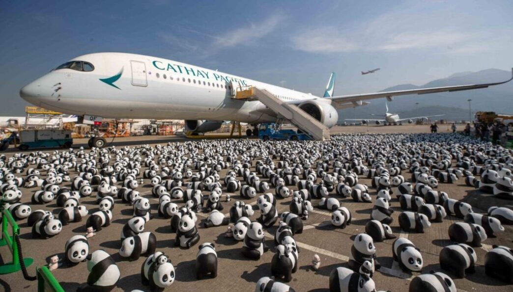 2.500 Sculture Di Panda Invado