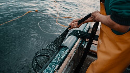 Accordo Storico Per La Flotta