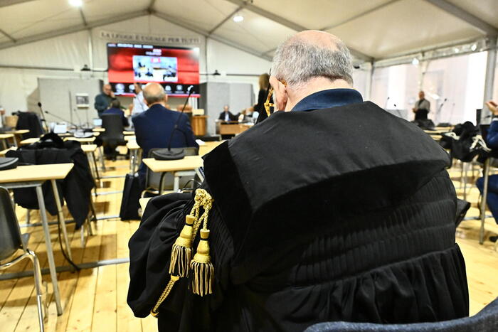 Accuse Alla Figura Dell27Avvoca