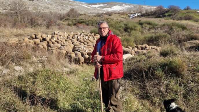Agea Risponde Alle Polemiche S