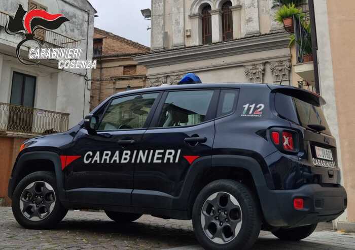 Aggressione Domestica A Lattar
