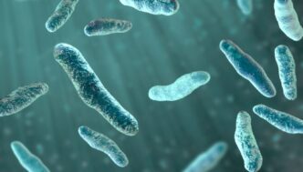Allerta Globale3A Scienziati Av