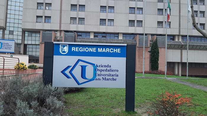 Analisi Dettagliata Sulla Salu