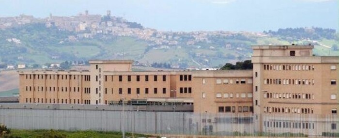 Ancona Introduce Il Garante Pe