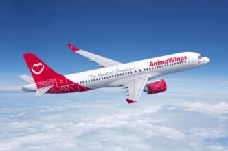 Animawings Espande La Flotta C