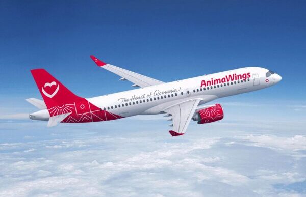 Animawings Espande La Flotta C