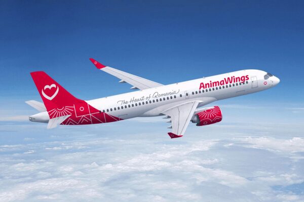 Animawings Espande La Flotta C