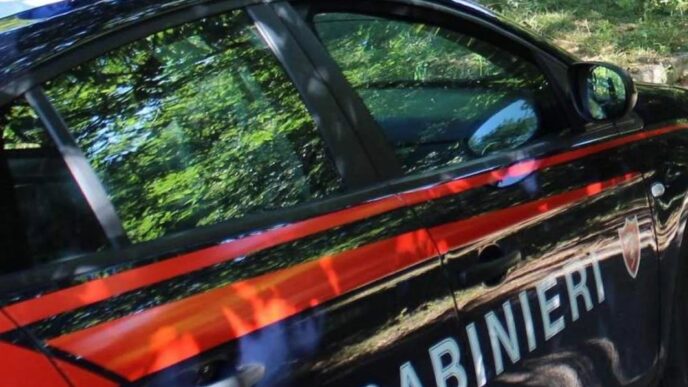 Arrestato Un Giovane Di Casori