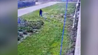 Arresti Nel Caso Della Fuga De