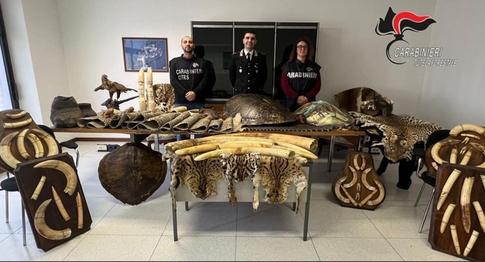 Arresto A Masserano3A Scoperta