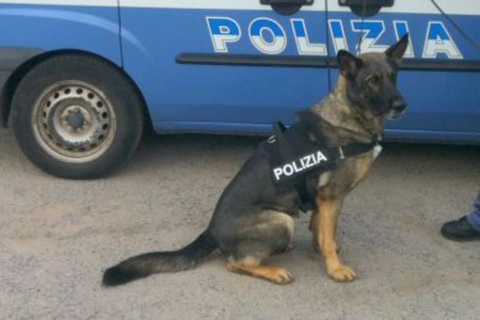 Arresto A Padova3A Un Gambiano