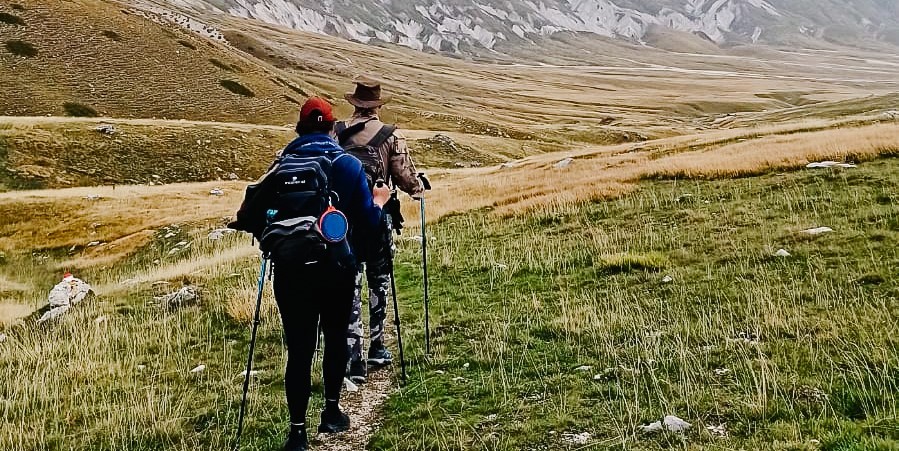 Aumento Dei Visitatori Sul Cam