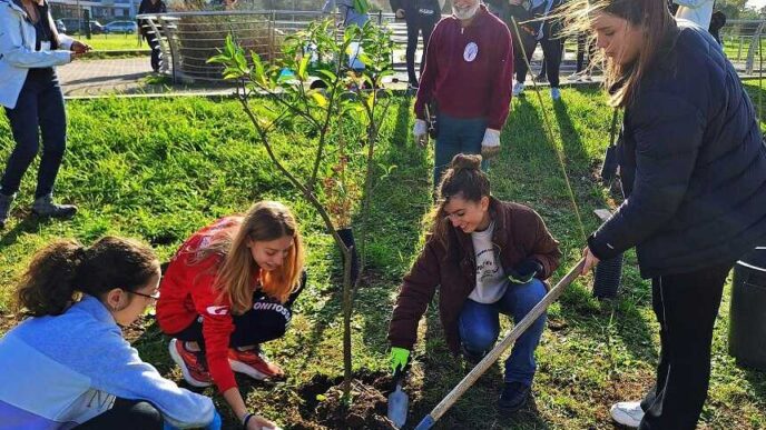Centinaia Di Nuovi Alberi Per