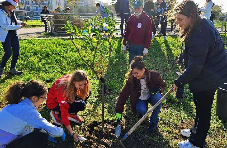 Centinaia Di Nuovi Alberi Per