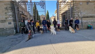 Cimitero Di Viterbo3A Proteste