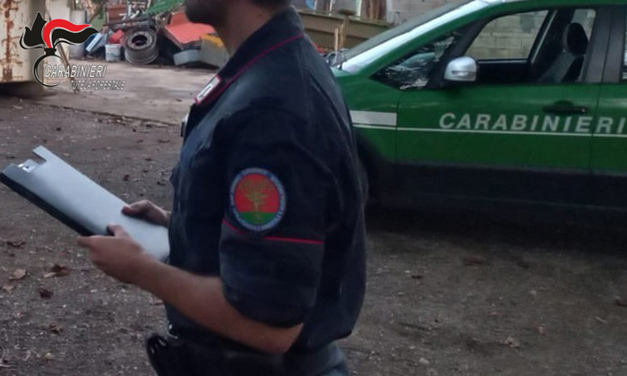 Conceria Abusiva A Solofra3A Im