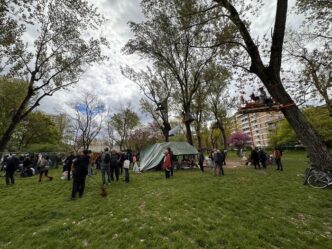 Condanna Per Studente Coinvolt