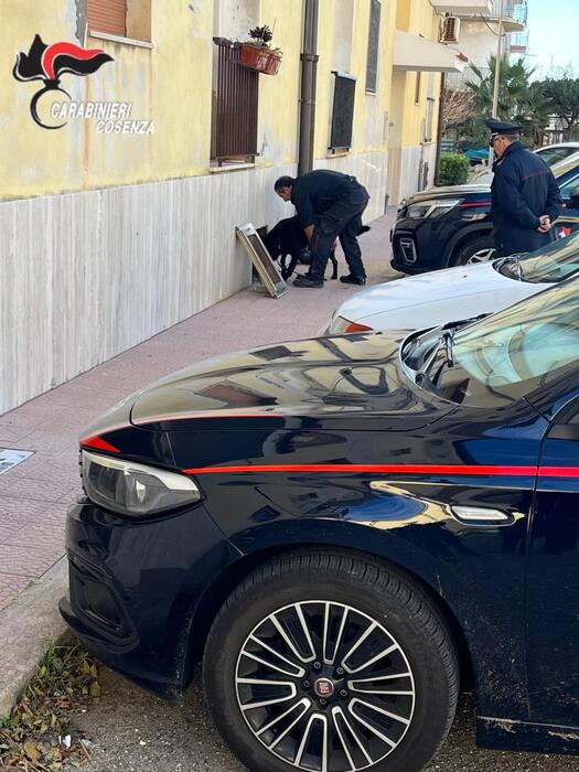 Controlli A Tappeto Nelle Abit