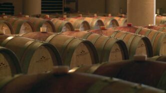 Crisi Per La Cantina Terre Cor