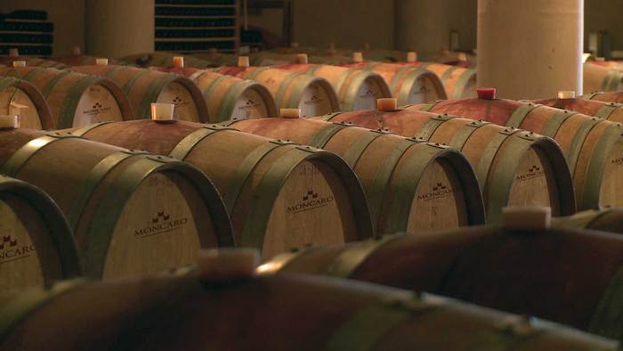 Crisi Per La Cantina Terre Cor