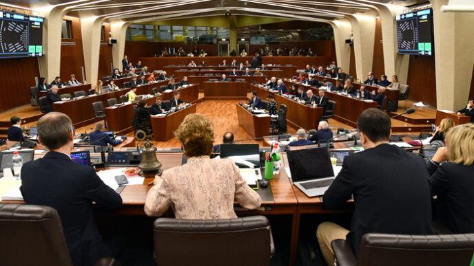 Critiche Al Bilancio Della Lom