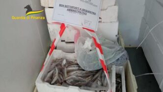 Crotone3A Sequestrati Quattro Q