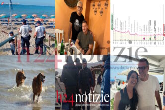 Curiositc3A0 E Trend3A Le Notizie