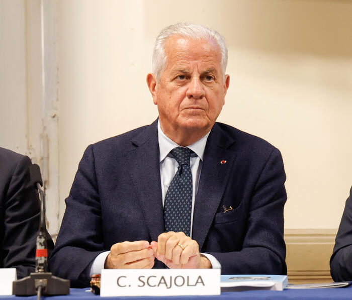 Dina Della Criminalitc3A0 Organiz