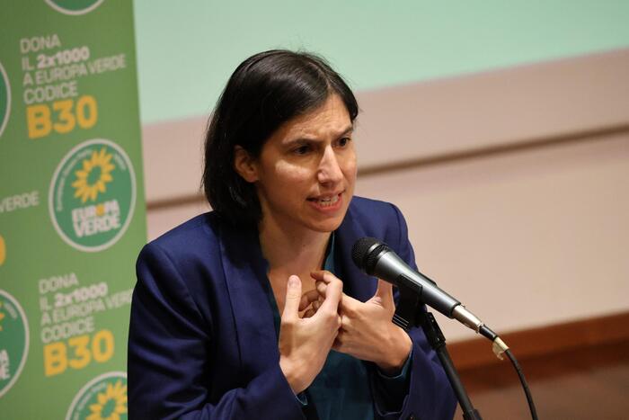 Elly Schlein Denuncia Licenzia