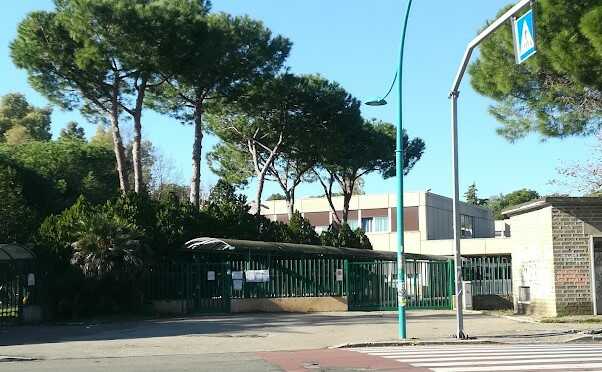 Emergenza Topi Nell27Ic Emma Ca