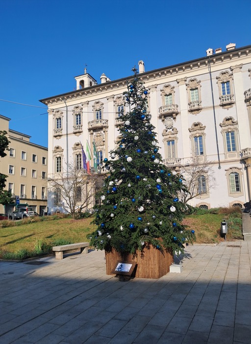 Eventi Natalizi A Pavia3A Un Pr