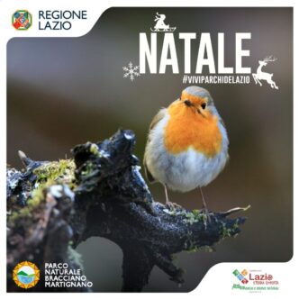 Eventi Natalizi Nel Parco Natu
