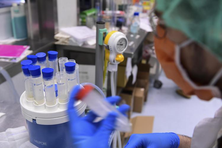 Focolaio Di Malaria Grave A Pa