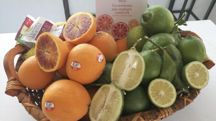 Freddo E Raccolto3A Stabilitc3A0 D