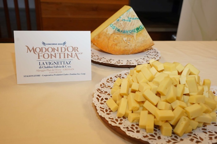 I Vincitori Del Modon D27Or Per