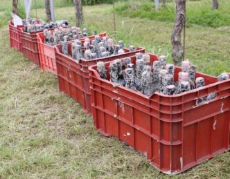I Vini Dell27Innovazione3A Il Ri
