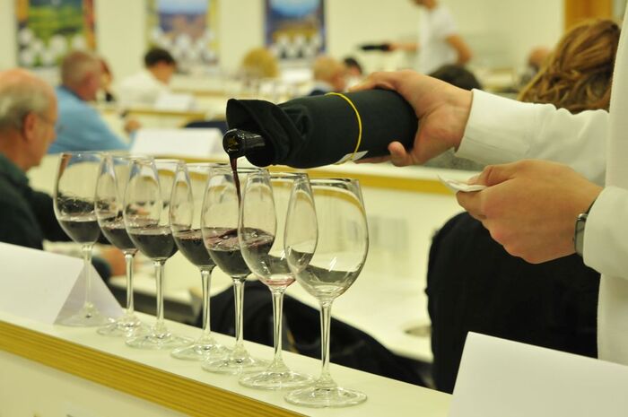 I Vini Resistenti Alla Malatti