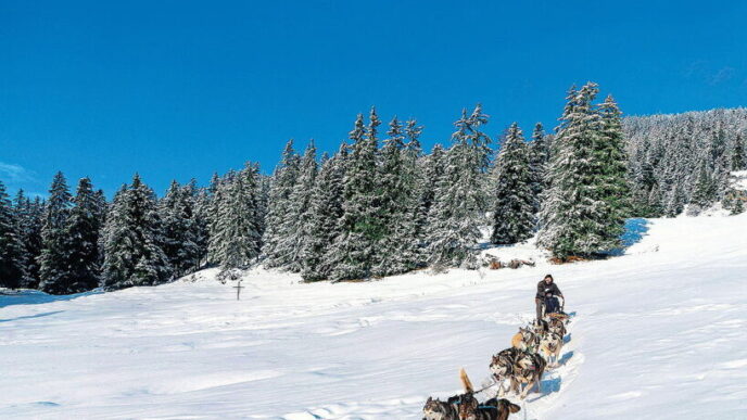 Il Natale Come Viaggio Tra Aff