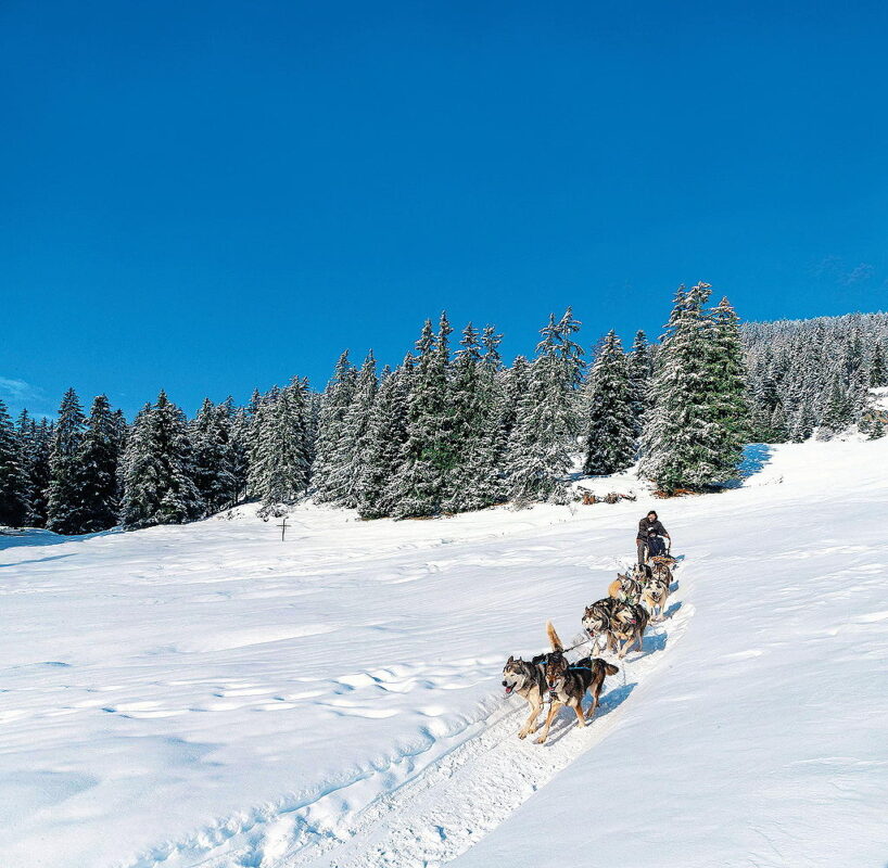 Il Natale Come Viaggio Tra Aff