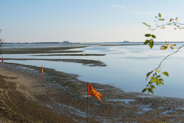 Il Bacc3A0N Di Venezia3A Una Risor