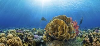 Il Mar Rosso Saudita3A Una Dest