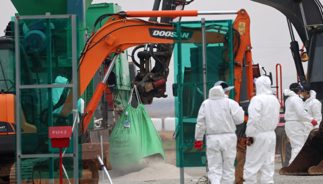 Il Percorso Professionale Di A