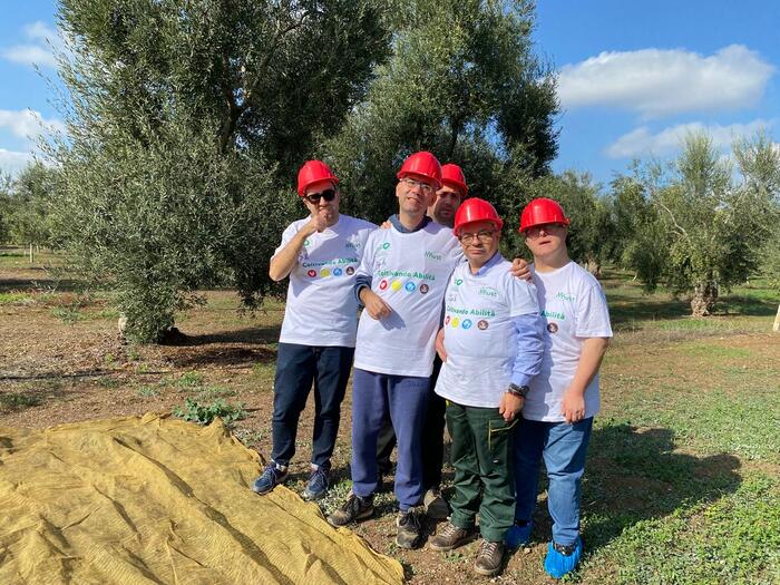 Il Progetto Gustabile3A L27Olio
