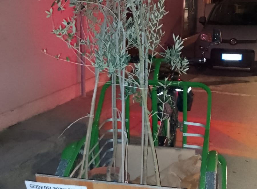 Il Progetto Di Roseto Degli Ab